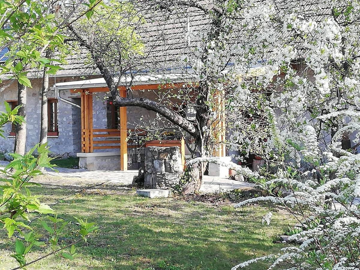 Karadi-Berger Vendeghaz Apartment Erdobenye Luaran gambar
